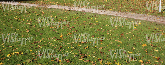 park ground with a walkway and autumn leaves