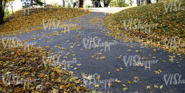 hilly park ground in autumn