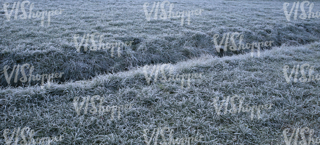 frost covered field of grass with a ditch 