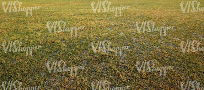 field of grass in autumn with a little bit of frost