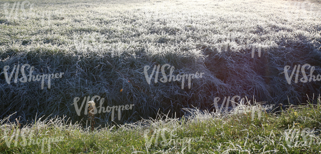 field of grass with a ditch covered with frost