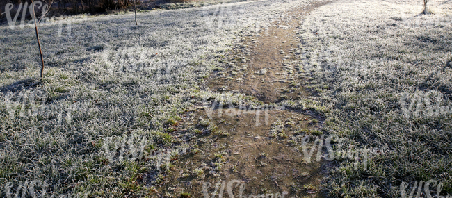 pathway in a frost covered field