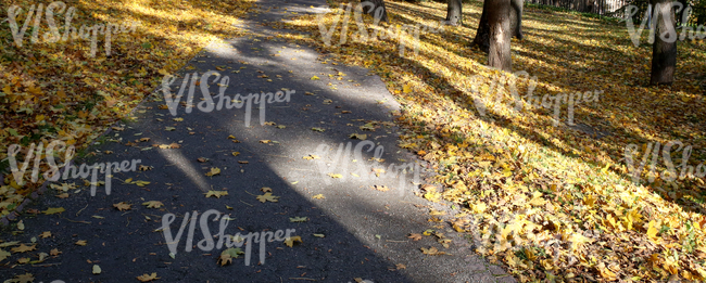 park ground with a walkway and autumn leaves