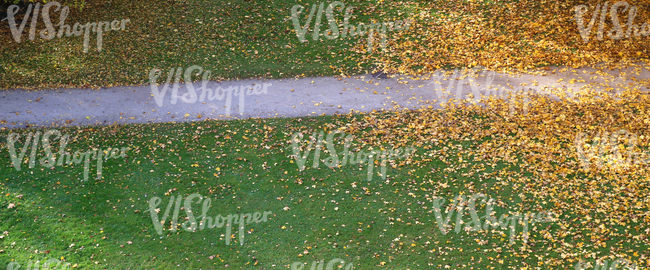 park ground with a walkway and autumn leaves seen from above