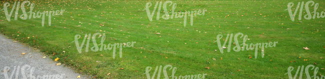 park ground with a walkway and autumn leaves