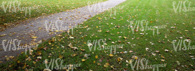 park ground with a walkway and autumn leaves