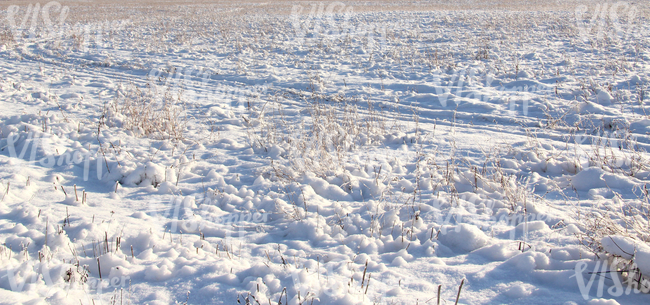 a bumpy snow-covered field