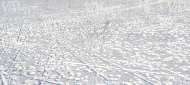 Field of snow