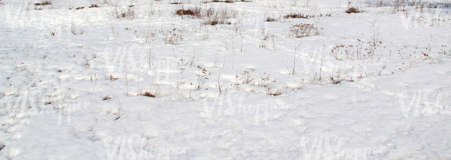 bumpy snow-covered ground with some plants and footprints