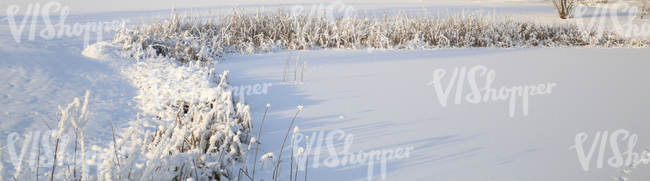 Snow-covered landscape