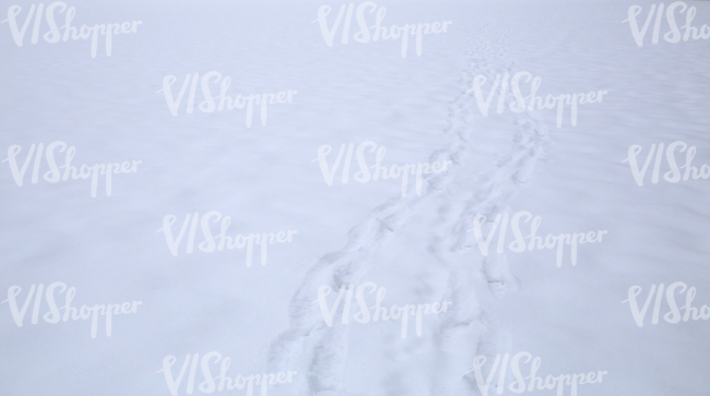 snow-covered ground with footprints