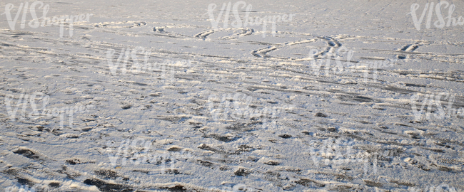 snow-covered ground with messy footprints