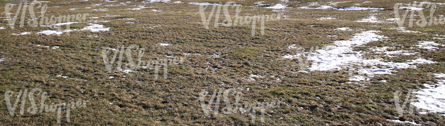 dry grass partially covered with snow