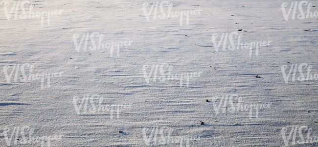 ground covered with snow