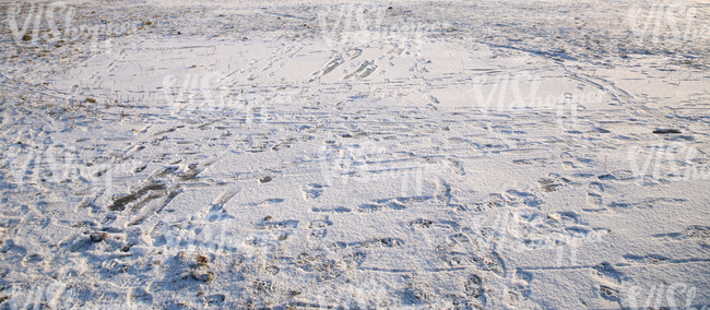 snow-covered ground with messy footprints