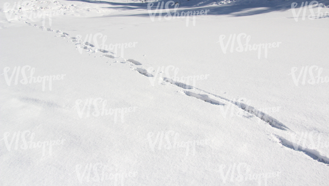 snow-covered ground with footprints