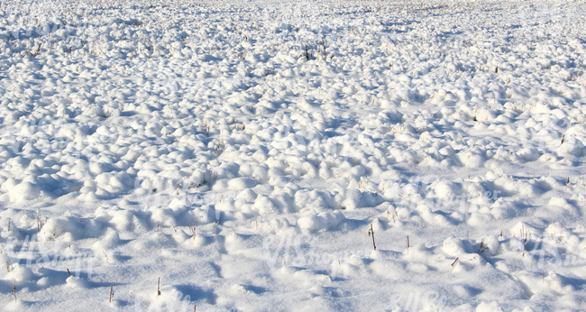 bumpy snow-covered ground