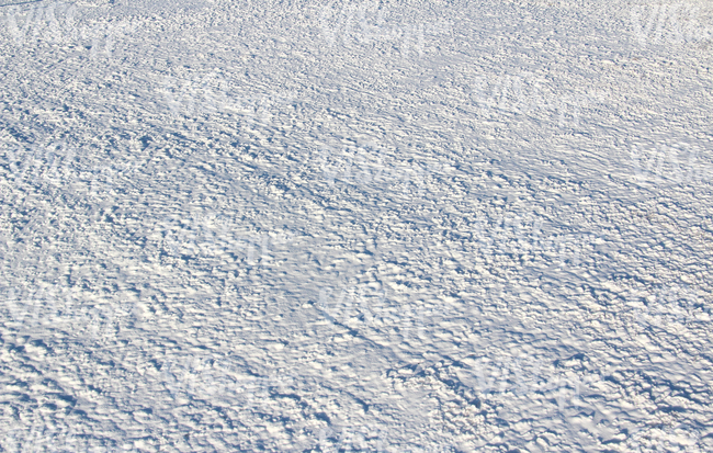 field of snow