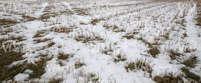 a field partially covered with snow