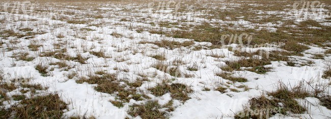 a field partially covered with snow