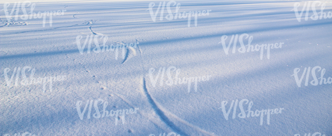 snow-covered ground with skaters prints