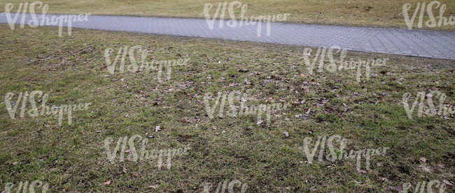 dry grass ground with a walkway