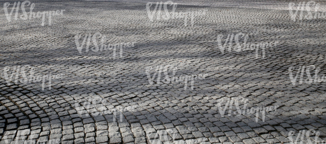 pavement with tree shadows