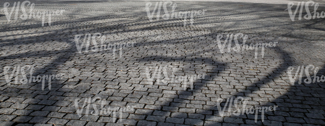 paved square with tree shadows