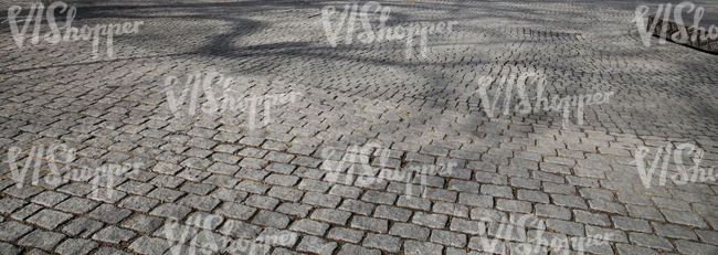 paved square with tree shadows