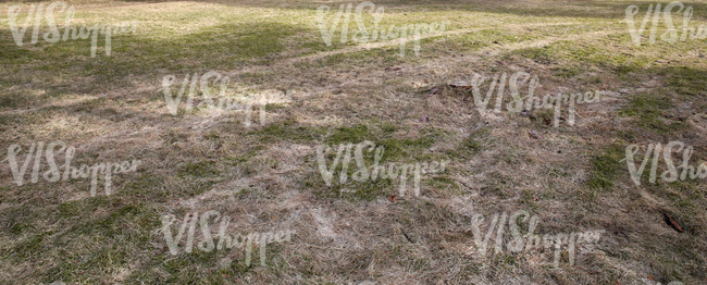 dry grass field in springtime