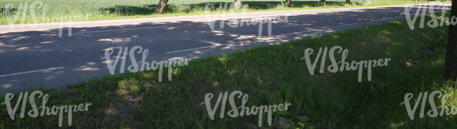 road with tree shadows