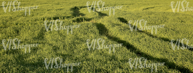 grass field with agricultural machine tracks