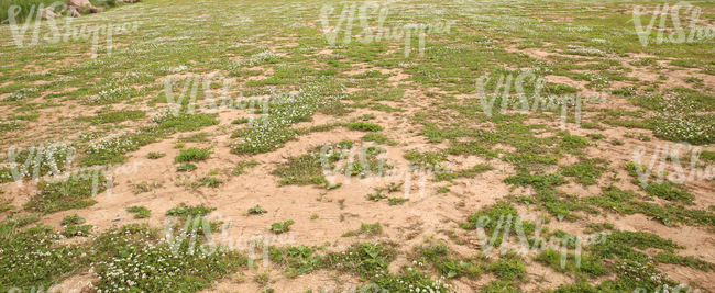 sandy ground partially covered with grass