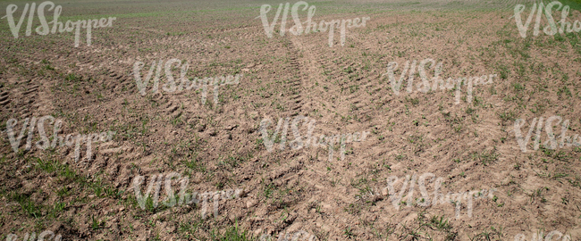 field with tractor tracks