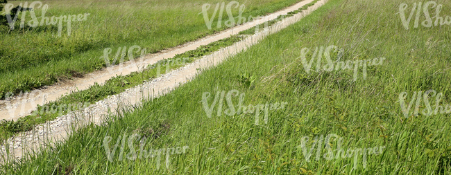 a small country road in summertime