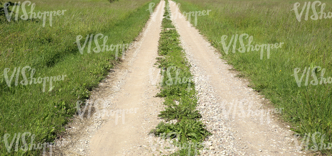 a small country road in summertime