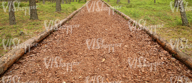 a forest pathway covered with mulch