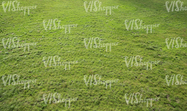 field of grass senn from above