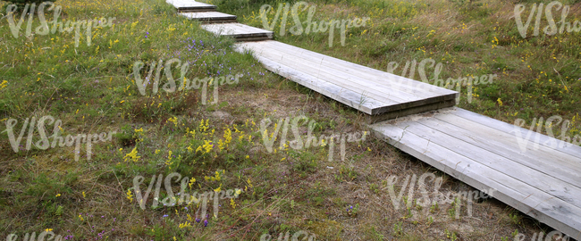 wooden walkway