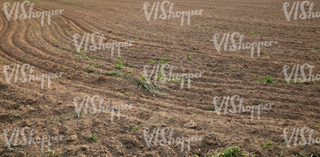 plowed field