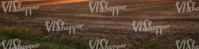 harvested field at sunset