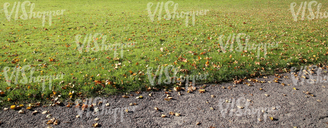 grass ground with a walkway at the foreground