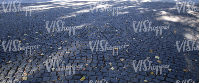 pavement with a few autumn leaves