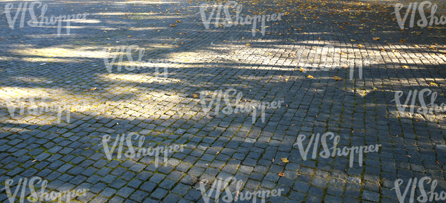 pavement with a few autumn leaves