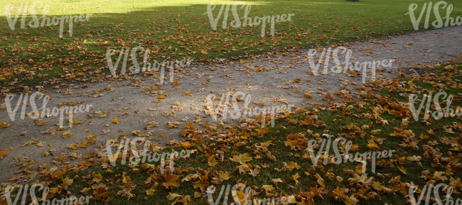 park walkway with autumn leaves