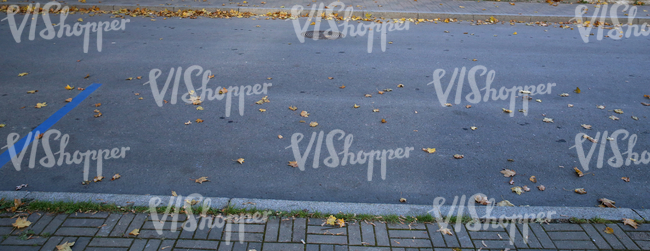 street with autumn leaves