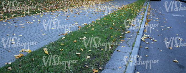 paved sidewalk and street with autumn leaves