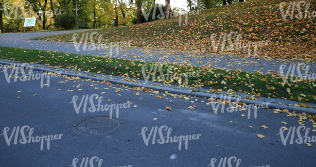 street and sidewalk with sloped grass ground at the background