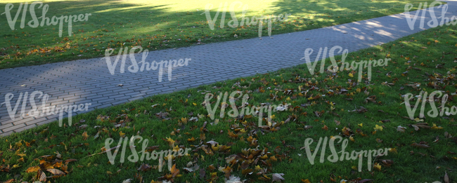 grass ground with a paved walkway and autumn leaves