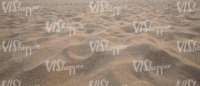 sandy beach